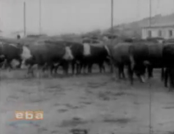 Eski Iğdır'dan Nostaljik Görüntüler